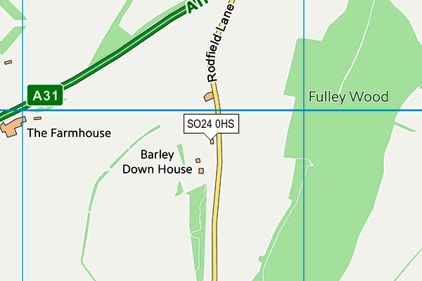 SO24 0HS map - OS VectorMap District (Ordnance Survey)