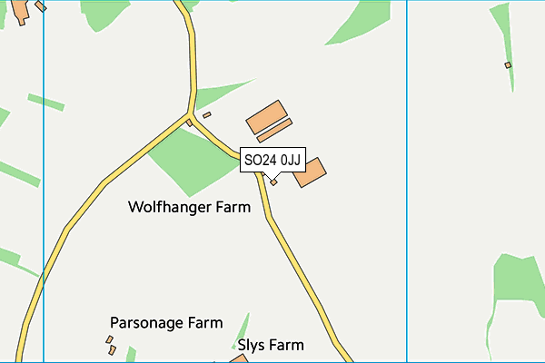 SO24 0JJ map - OS VectorMap District (Ordnance Survey)