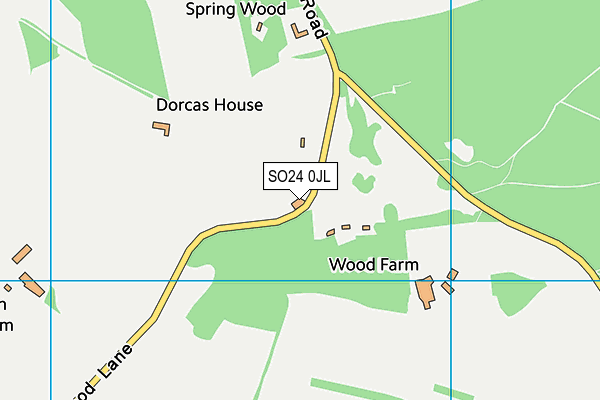 SO24 0JL map - OS VectorMap District (Ordnance Survey)