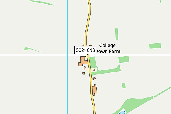 SO24 0NS map - OS VectorMap District (Ordnance Survey)