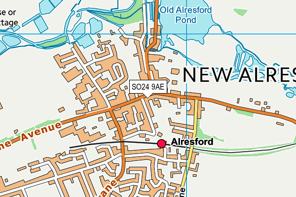 SO24 9AE map - OS VectorMap District (Ordnance Survey)