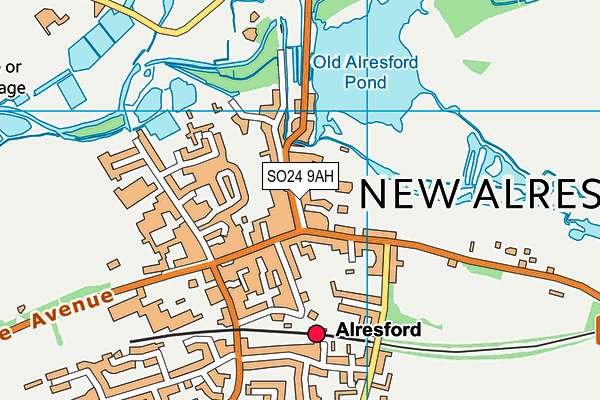 SO24 9AH map - OS VectorMap District (Ordnance Survey)