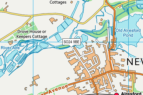 SO24 9BE map - OS VectorMap District (Ordnance Survey)