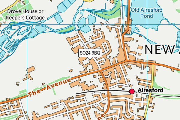 SO24 9BQ map - OS VectorMap District (Ordnance Survey)