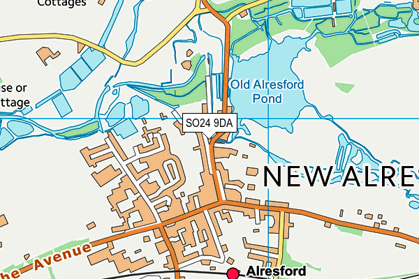 SO24 9DA map - OS VectorMap District (Ordnance Survey)