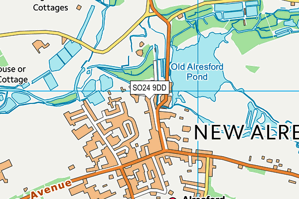 SO24 9DD map - OS VectorMap District (Ordnance Survey)
