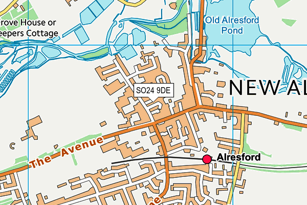 SO24 9DE map - OS VectorMap District (Ordnance Survey)