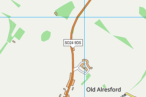 SO24 9DS map - OS VectorMap District (Ordnance Survey)