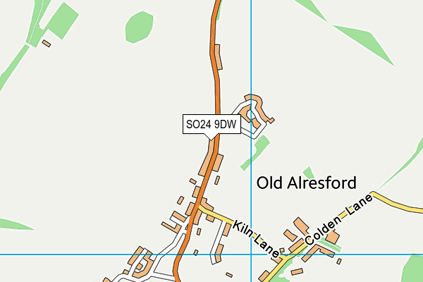 SO24 9DW map - OS VectorMap District (Ordnance Survey)