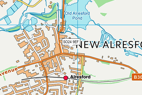 SO24 9EF map - OS VectorMap District (Ordnance Survey)