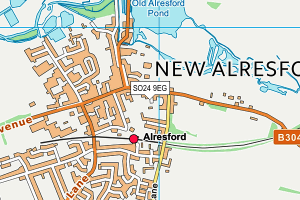 SO24 9EG map - OS VectorMap District (Ordnance Survey)