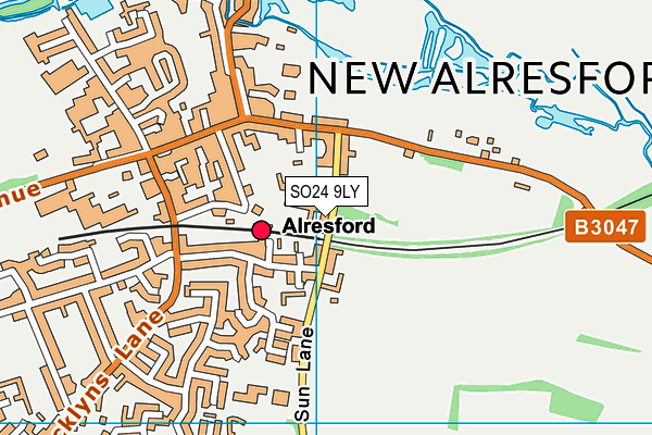 SO24 9LY map - OS VectorMap District (Ordnance Survey)