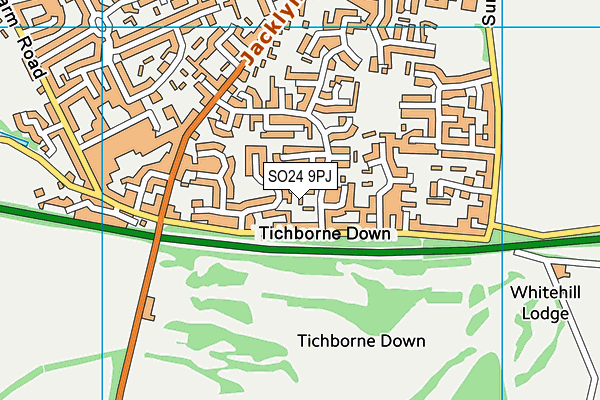 SO24 9PJ map - OS VectorMap District (Ordnance Survey)