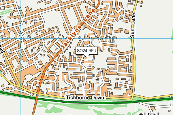 SO24 9PU map - OS VectorMap District (Ordnance Survey)