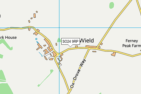 SO24 9RP map - OS VectorMap District (Ordnance Survey)