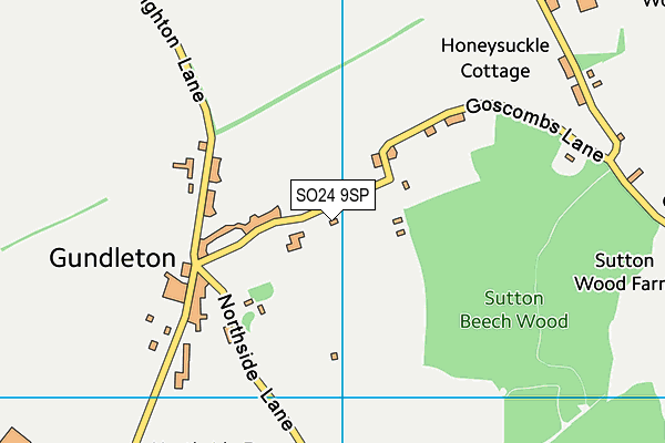 SO24 9SP map - OS VectorMap District (Ordnance Survey)