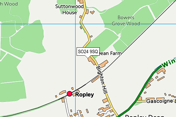 SO24 9SQ map - OS VectorMap District (Ordnance Survey)