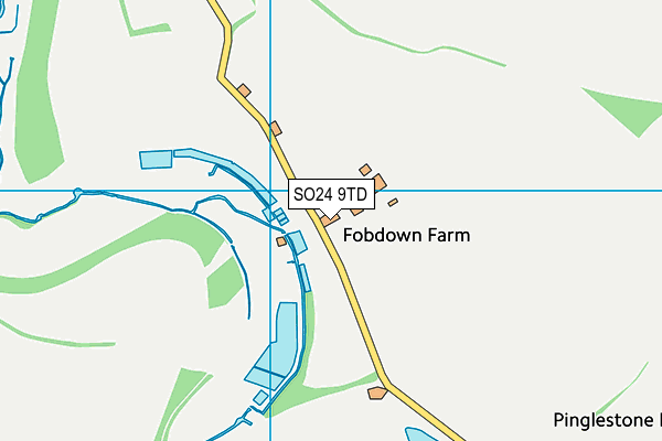 SO24 9TD map - OS VectorMap District (Ordnance Survey)