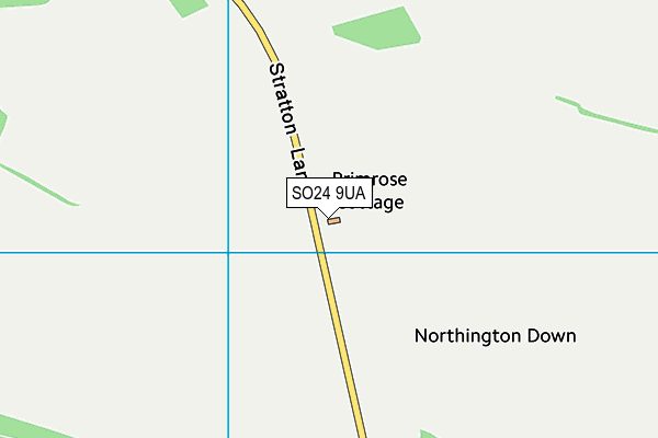 SO24 9UA map - OS VectorMap District (Ordnance Survey)