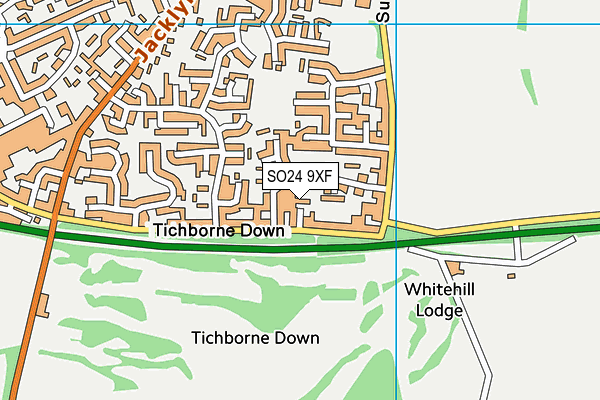 SO24 9XF map - OS VectorMap District (Ordnance Survey)