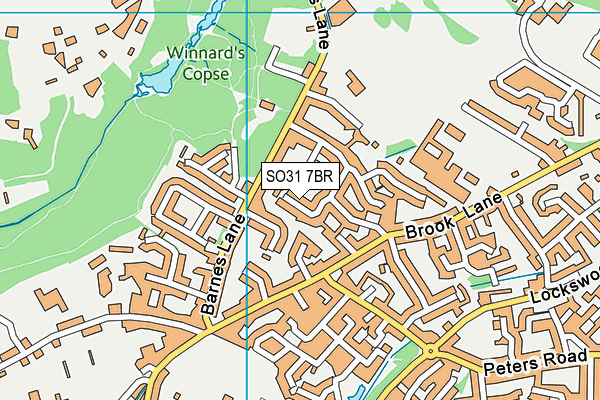 SO31 7BR map - OS VectorMap District (Ordnance Survey)