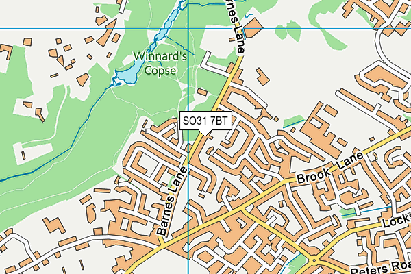SO31 7BT map - OS VectorMap District (Ordnance Survey)