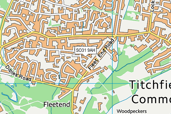 SO31 9AH map - OS VectorMap District (Ordnance Survey)