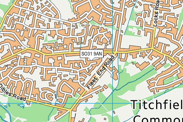 SO31 9AN map - OS VectorMap District (Ordnance Survey)