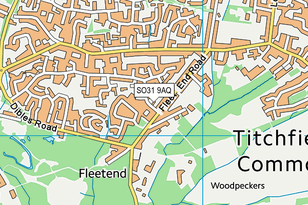 SO31 9AQ map - OS VectorMap District (Ordnance Survey)