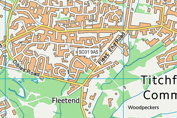 SO31 9AS map - OS VectorMap District (Ordnance Survey)