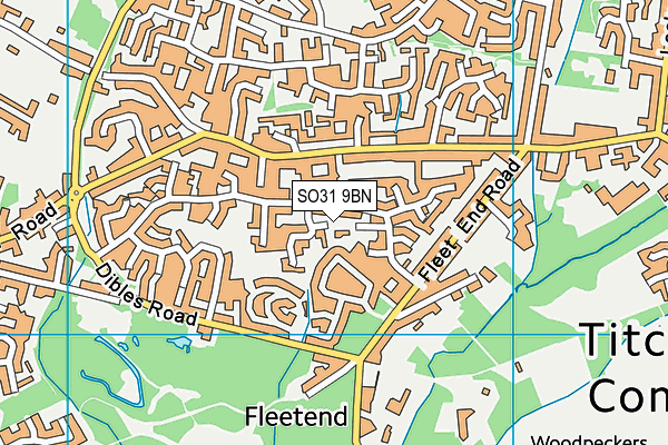 SO31 9BN map - OS VectorMap District (Ordnance Survey)