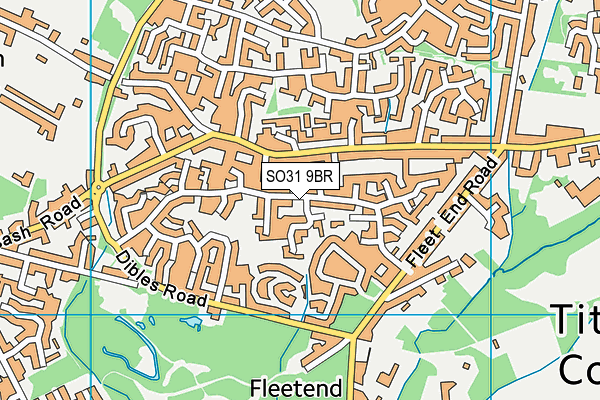 SO31 9BR map - OS VectorMap District (Ordnance Survey)