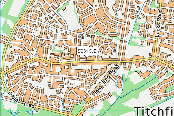SO31 9JE map - OS VectorMap District (Ordnance Survey)