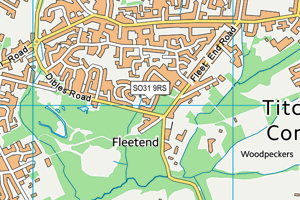 SO31 9RS map - OS VectorMap District (Ordnance Survey)