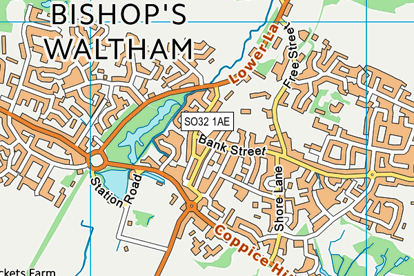 Map of BISHOPS WALTHAM DEVELOPMENTS LTD at district scale
