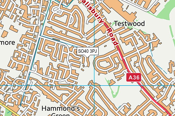 SO40 3PJ map - OS VectorMap District (Ordnance Survey)