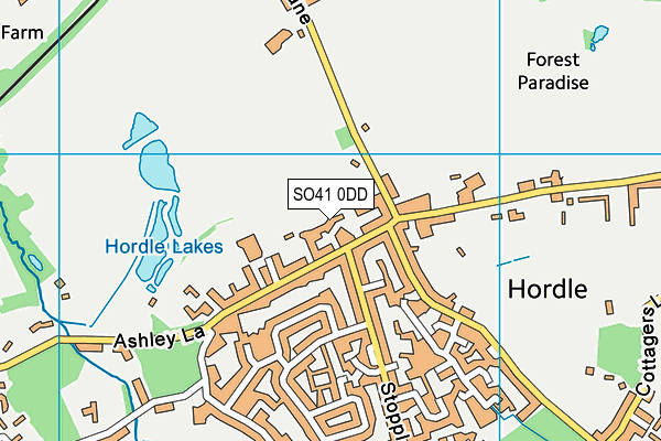 SO41 0DD map - OS VectorMap District (Ordnance Survey)