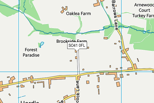 SO41 0FL map - OS VectorMap District (Ordnance Survey)