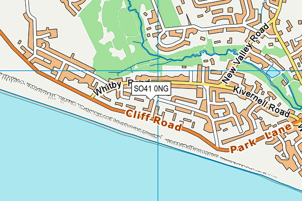 SO41 0NG map - OS VectorMap District (Ordnance Survey)