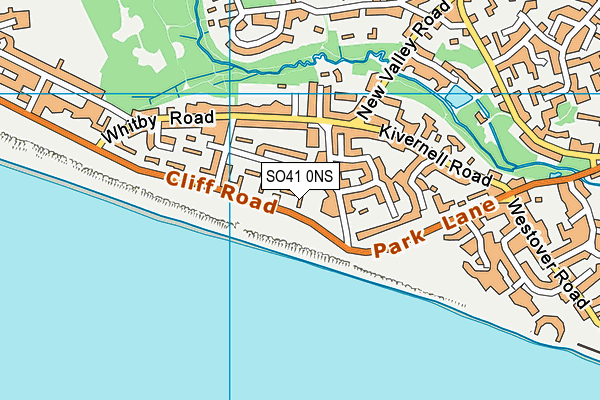 SO41 0NS map - OS VectorMap District (Ordnance Survey)