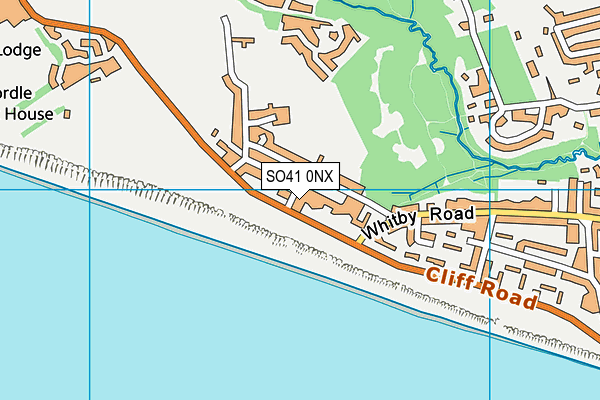 SO41 0NX map - OS VectorMap District (Ordnance Survey)