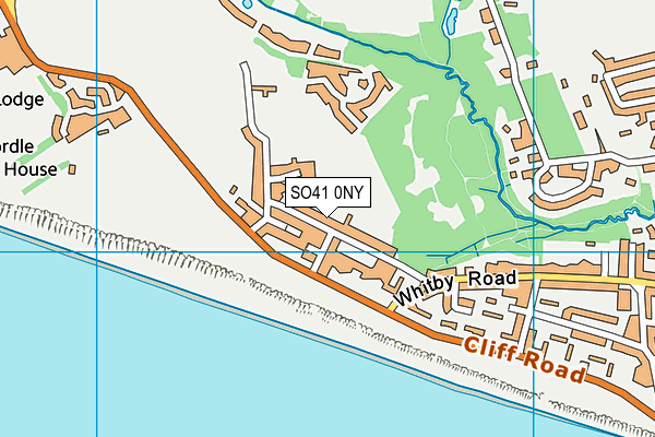 SO41 0NY map - OS VectorMap District (Ordnance Survey)