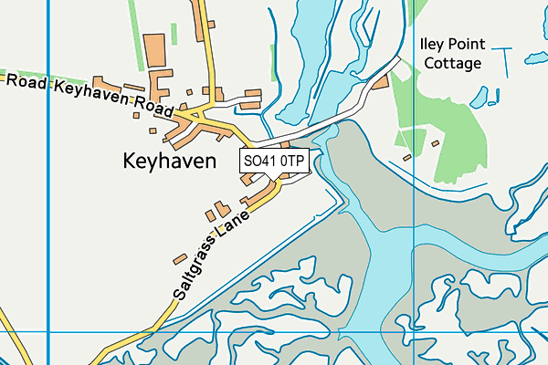 SO41 0TP map - OS VectorMap District (Ordnance Survey)