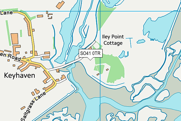 SO41 0TR map - OS VectorMap District (Ordnance Survey)