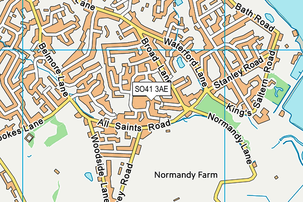 SO41 3AE map - OS VectorMap District (Ordnance Survey)