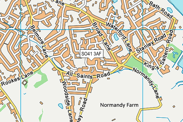 SO41 3AF map - OS VectorMap District (Ordnance Survey)