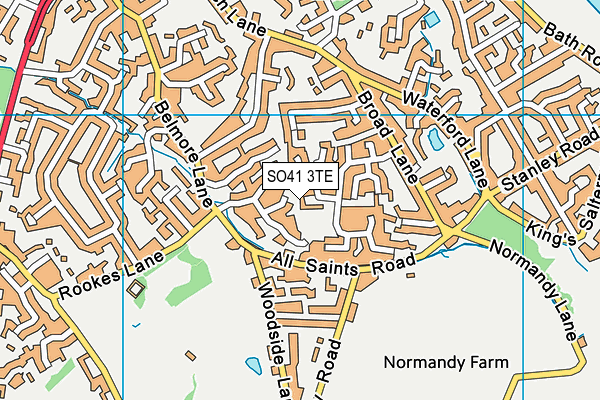SO41 3TE map - OS VectorMap District (Ordnance Survey)