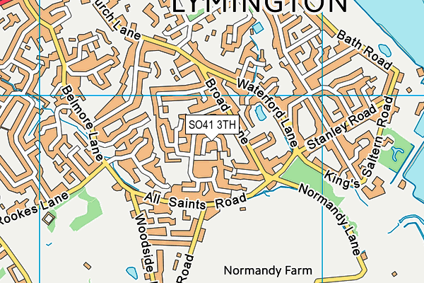 SO41 3TH map - OS VectorMap District (Ordnance Survey)