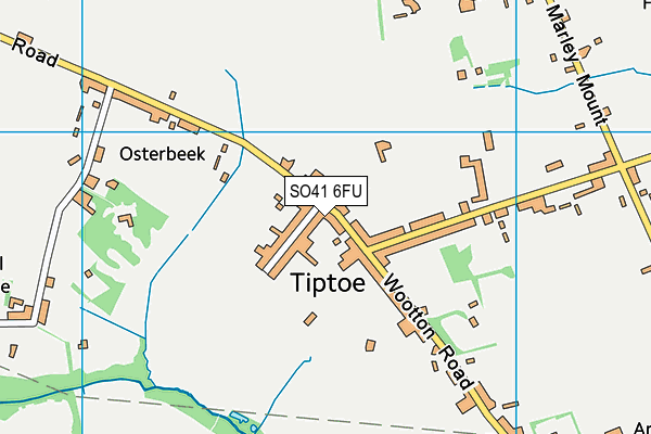 Tiptoe Primary School map (SO41 6FU) - OS VectorMap District (Ordnance Survey)