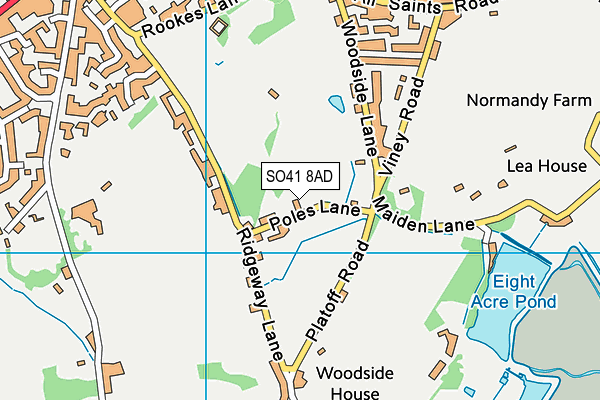 SO41 8AD map - OS VectorMap District (Ordnance Survey)